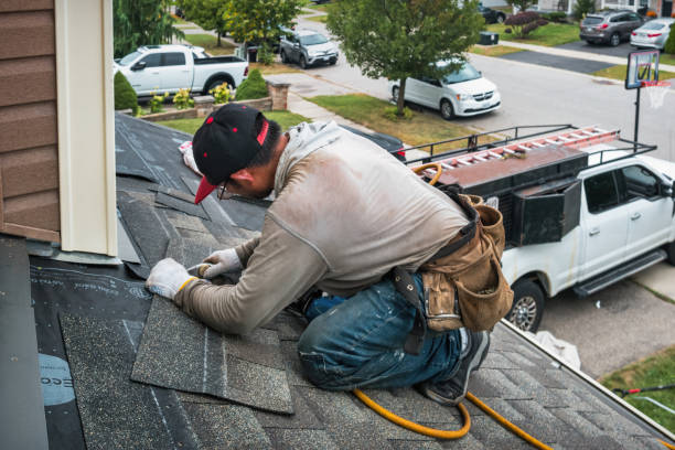 Professional Hail Damage Roof Repair technician working in Natural Bridge Station, VA